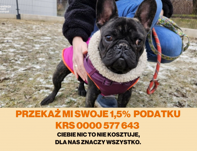 Schronisko dla Bezdomnych Zwierząt w Świdnicy - FIDO  DT