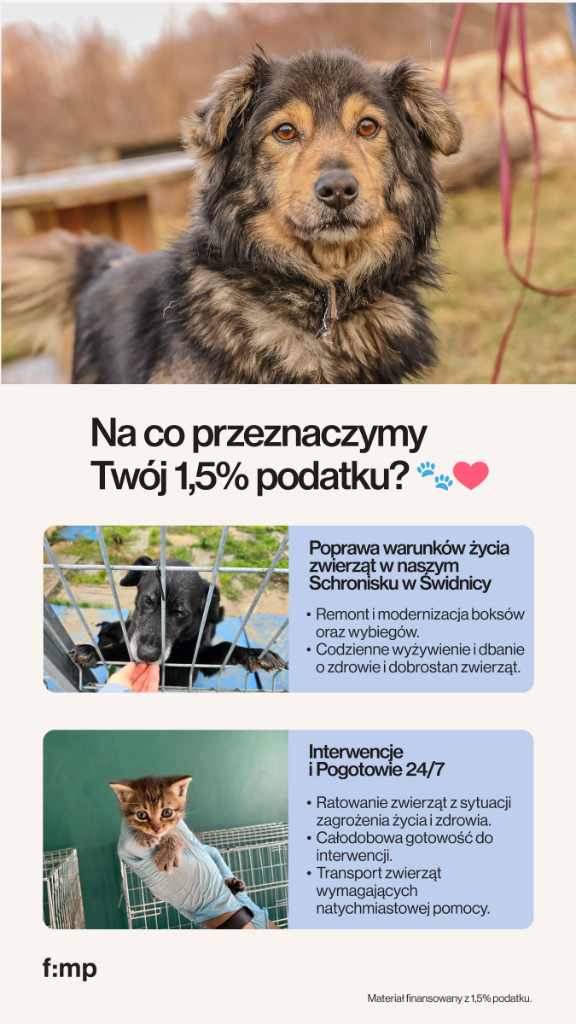 infografika (1)