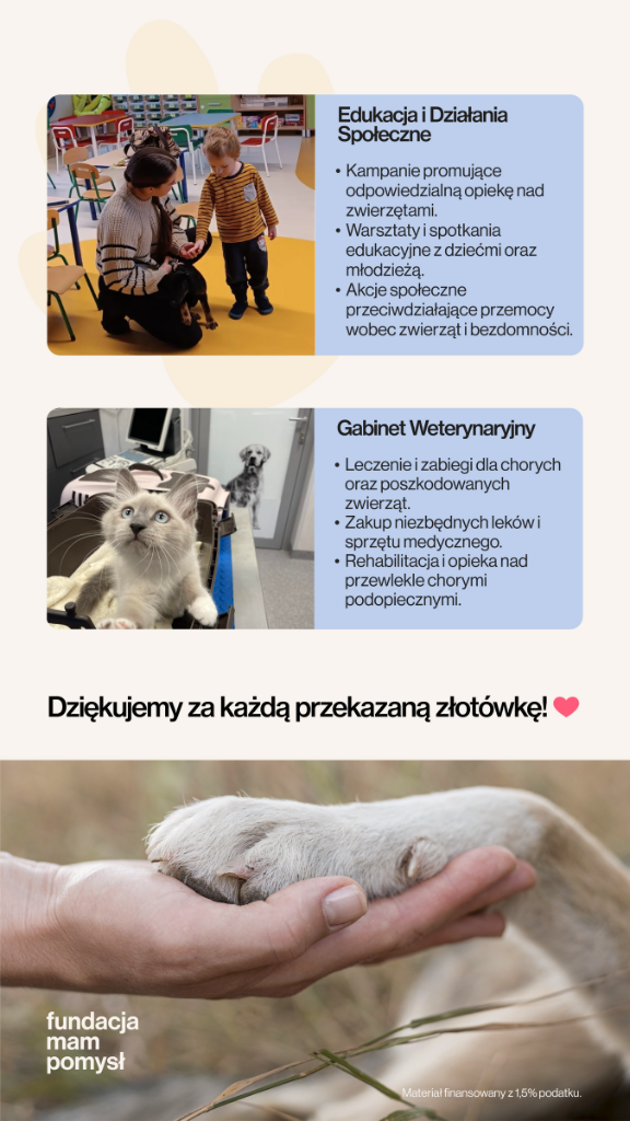 infografika (2)